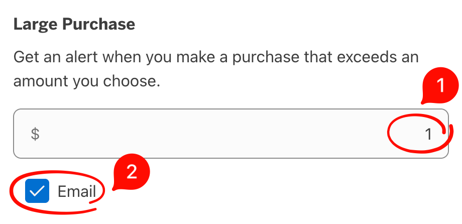 American Express Large Purchase alert with the amount set to 1 dollar and Email checked.