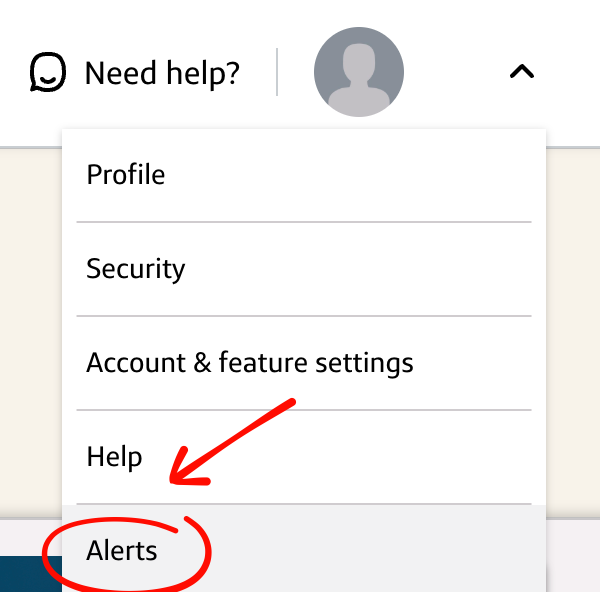 Capital One profile menu with Alerts circled in red.