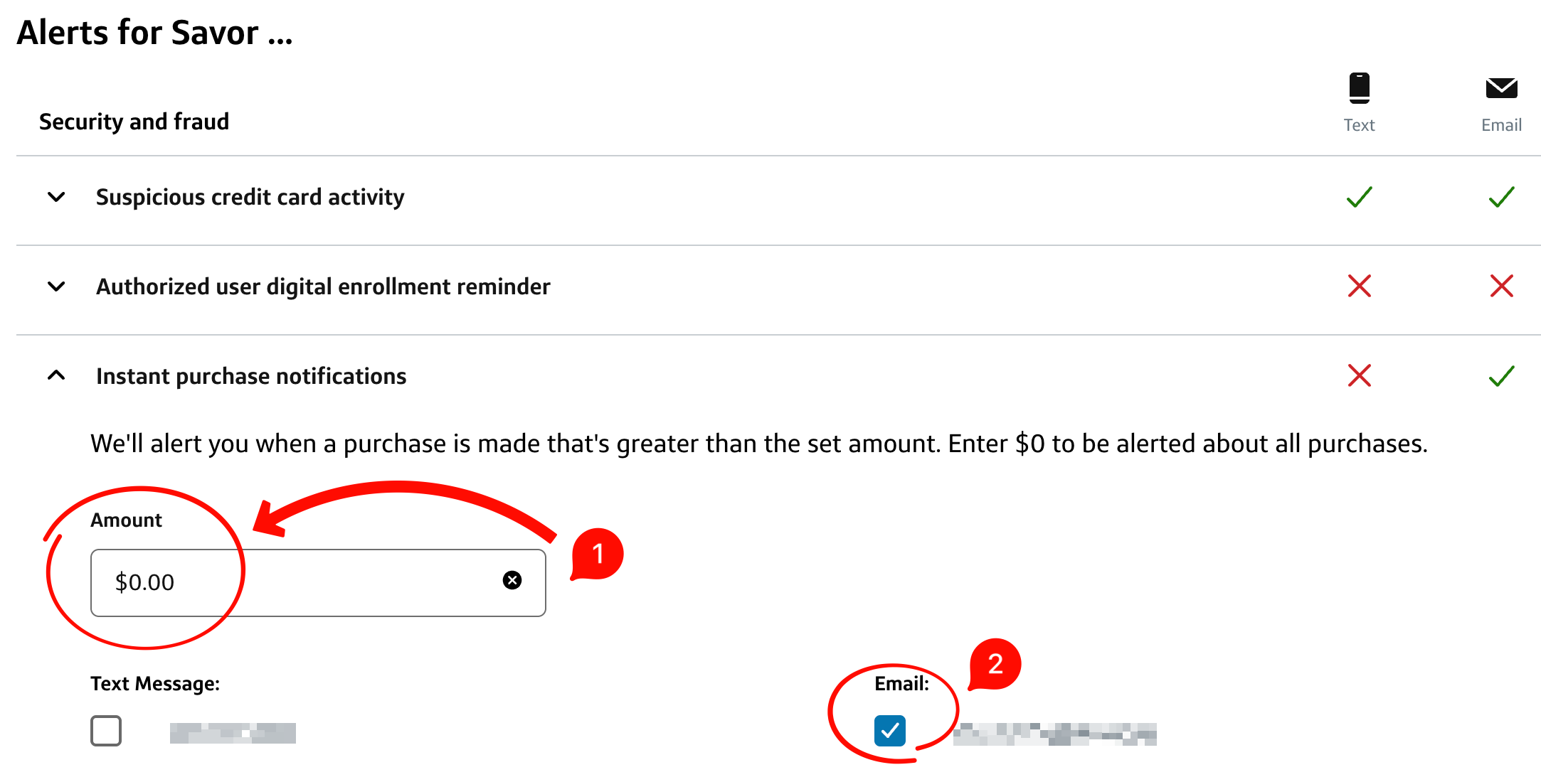 Capital One Instant purchase notifications with Amount set to $0.00 and Email checked, both marked in red.