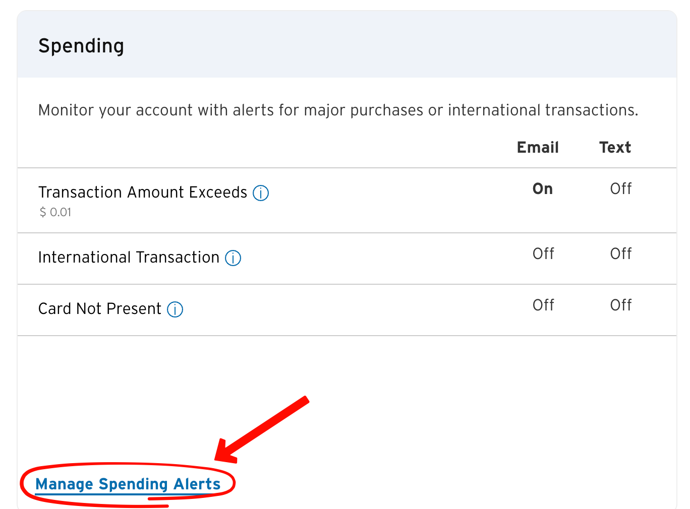 Citi Spending section showing Transaction Amount Exceeds and Manage Spending Alerts circled.
