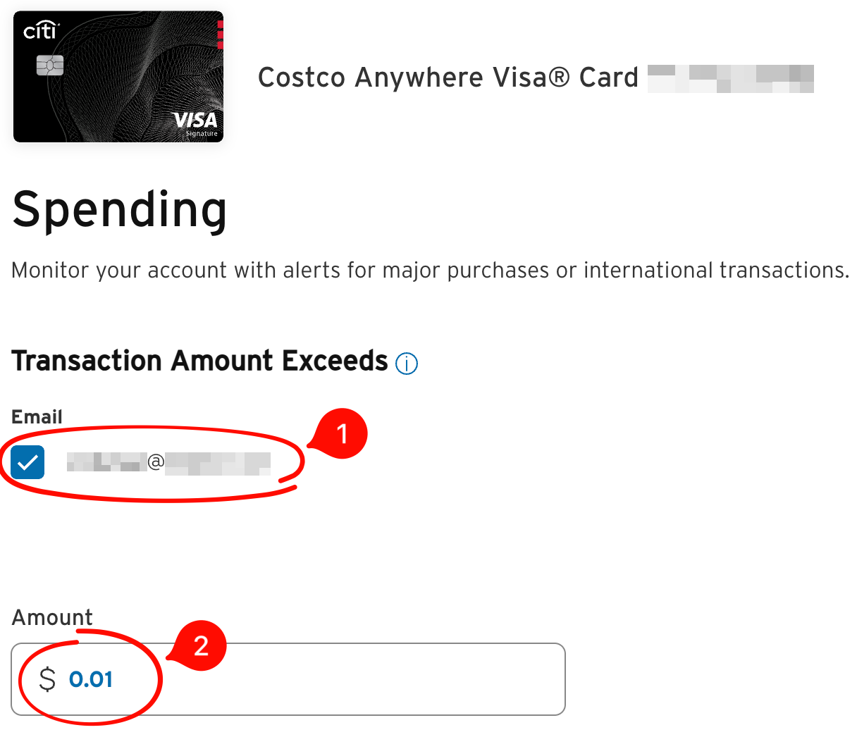 Citi Transaction Amount Exceeds settings with the email address checked and Amount set to 0.01.
